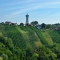 Lendava-vineyard tour